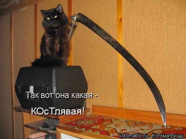 Так вот она какая - КОсТлявая!... Котоматрица: Так вот она какая - КОсТлявая!
