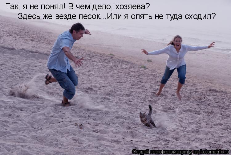 Так, я не понял! В чем дело, хозяева? Здесь же везде песок...Или я опять не туда сходил?... Котоматрица: Так, я не понял! В чем дело, хозяева? Здесь же везде песок...Или я опять не туда сходил?