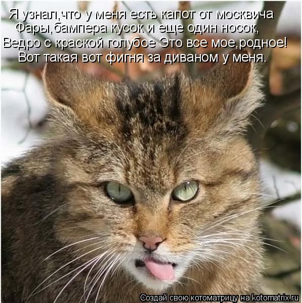 Ведро с краской голубое Это все мое,родное! Вот такая вот фигня За диваном у меня. Вот такая вот фигн... Котоматрица: Ведро с краской голубое Это все мое,родное! Вот такая вот фигня За диваном у меня. Вот такая вот фигня за диваном у меня. Я узнал,что у меня ес