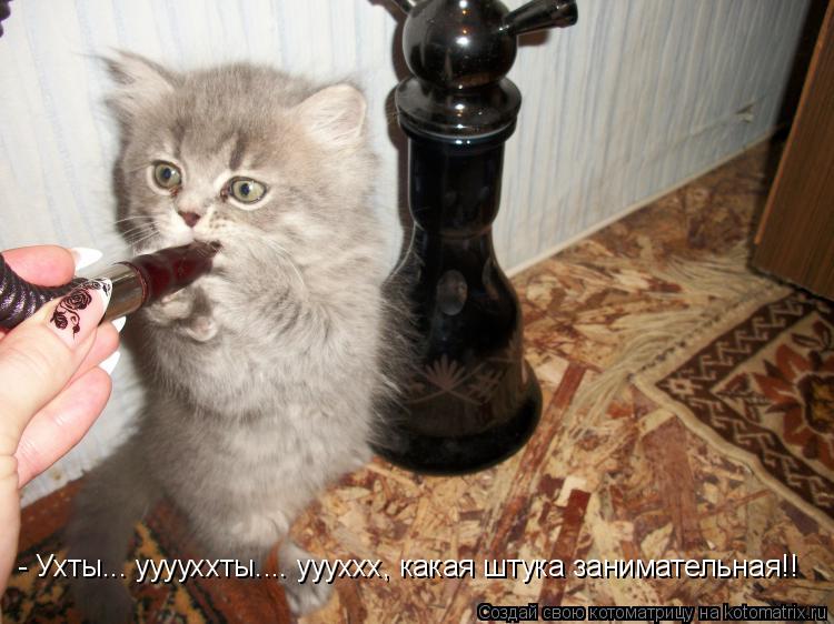 - Ухты... ууууххты.... уууххх, какая штука занимательная!!... Котоматрица: - Ухты... ууууххты.... уууххх, какая штука занимательная!!