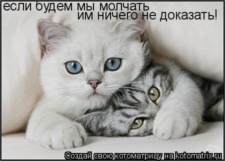 если будем мы молчать им ничего не доказать!... Котоматрица: если будем мы молчать им ничего не доказать!