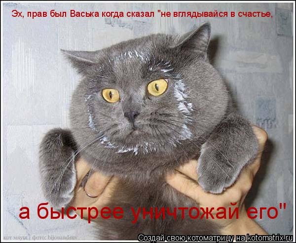 Эх, прав был Васька когда сказал "не вглядывайся в счастье, а быстрее уничтожай его"... Котоматрица: Эх, прав был Васька когда сказал "не вглядывайся в счастье, а быстрее уничтожай его"