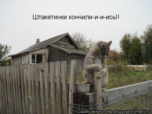 Штакетинки кончили-и-и-ись!!... Котоматрица: Штакетинки кончили-и-и-ись!!
