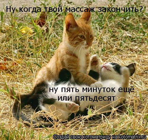 Ну когда твой массаж закончить? ну пять минуток ещё или пятьдесят... Котоматрица: Ну когда твой массаж закончить? ну пять минуток ещё или пятьдесят