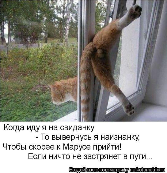 Когда иду я на свиданку - То вывернусь я наизнанку, Чтобы скорее к Марусе прийти! Если ничто не застр... Котоматрица: Когда иду я на свиданку - То вывернусь я наизнанку, Чтобы скорее к Марусе прийти! Если ничто не застрянет в пути...