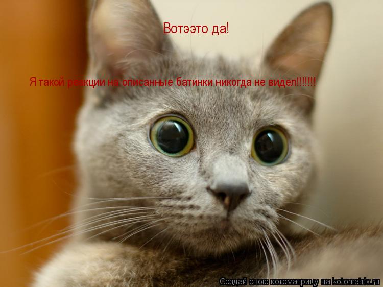 Вотээто да! Я такой реакции на описанные батинки никогда не видел!!!!!!!... Котоматрица: Вотээто да! Я такой реакции на описанные батинки никогда не видел!!!!!!!