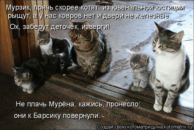 Мурзик, прячь скорее котят: из ювенальной юстиции рыщут, а у нас ковров нет и двери не железные. Ох... Котоматрица: Мурзик, прячь скорее котят: из ювенальной юстиции рыщут, а у нас ковров нет и двери не железные. Ох, заберут деточек, изверги! они к Барсику п