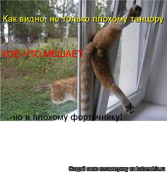 Поговорка плохой танцор Поговорка плохой танцор