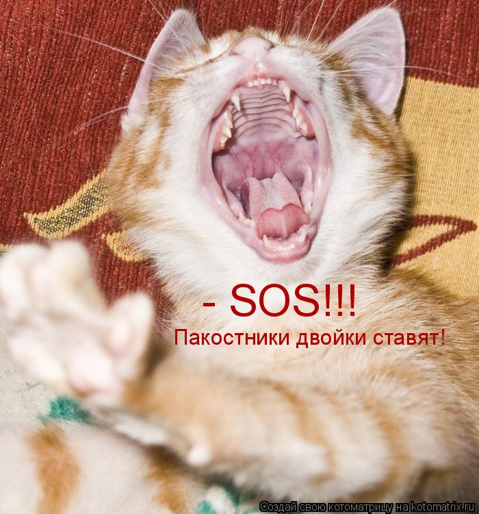 - SOS!!! Пакостники двойки ставят!... Котоматрица: - SOS!!! Пакостники двойки ставят!