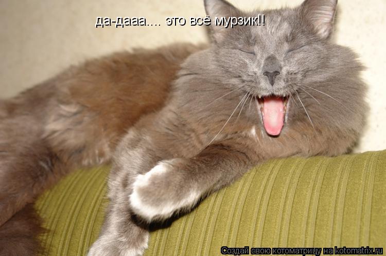 да-дааа.... это всё мурзик!!... Котоматрица: да-дааа.... это всё мурзик!!