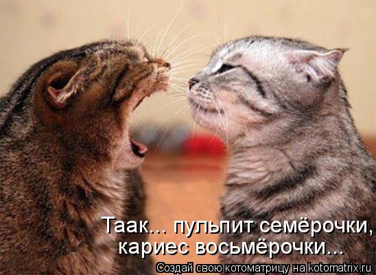 Таак... пульпит семёрочки, кариес восьмёрочки...... Котоматрица: Таак... пульпит семёрочки, кариес восьмёрочки...