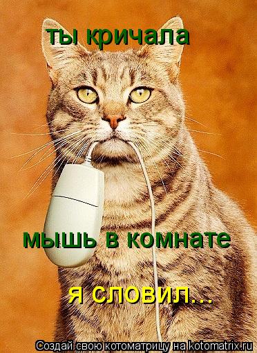 ты кричала мышь в комнате я словил...... Котоматрица: ты кричала мышь в комнате я словил...