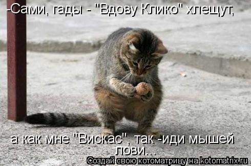 -Сами, гады - "Вдову Клико" хлещут, а как мне "Вискас", так -иди мышей лови...... Котоматрица: -Сами, гады - "Вдову Клико" хлещут, а как мне "Вискас", так -иди мышей лови...