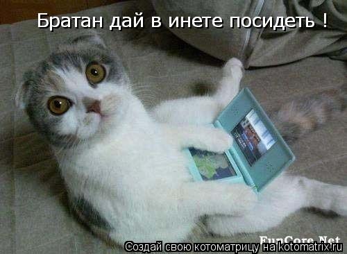 Братан дай в инете посидеть ! Братан дай в инете посидеть !... Котоматрица: Братан дай в инете посидеть ! Братан дай в инете посидеть !