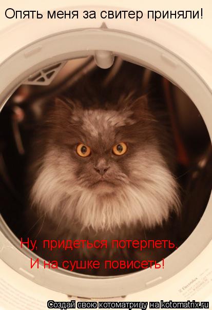 Опять меня за свитер приняли! Ну, придеться потерпеть, И на сушке повисеть!... Котоматрица: Опять меня за свитер приняли! Ну, придеться потерпеть, И на сушке повисеть!