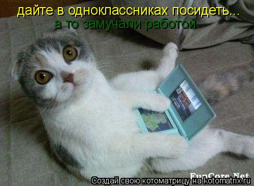 дайте в одноклассниках посидеть... а то замучали работой... Котоматрица: дайте в одноклассниках посидеть... а то замучали работой