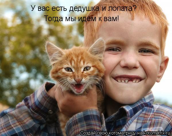 У вас есть дедушка и лопата? Тогда мы идём к вам!... Котоматрица: У вас есть дедушка и лопата? Тогда мы идём к вам!
