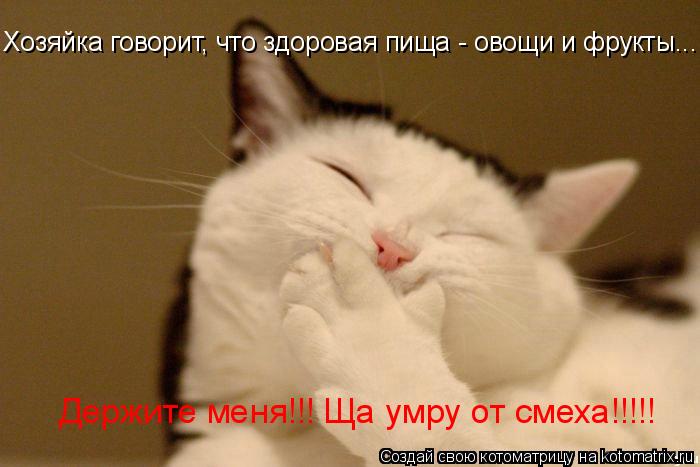 Держите меня!!! Ща умру от смеха!!!!! Хозяйка говорит, что здоровая пища - овощи и фрукты...... Котоматрица: Держите меня!!! Ща умру от смеха!!!!! Хозяйка говорит, что здоровая пища - овощи и фрукты...