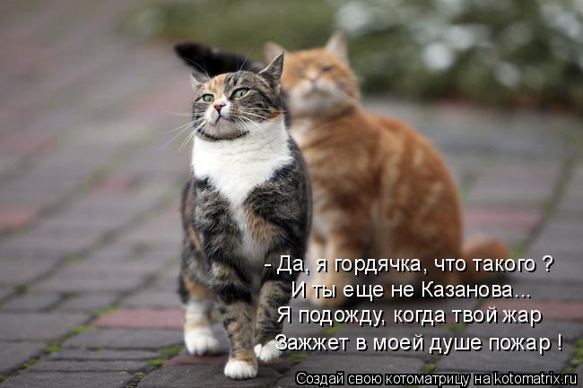 Котоматрица: - Да, я гордячка, что такого ? И ты еще не Казанова... Я подожду, когда твой жар Зажжет в моей душе пожар !