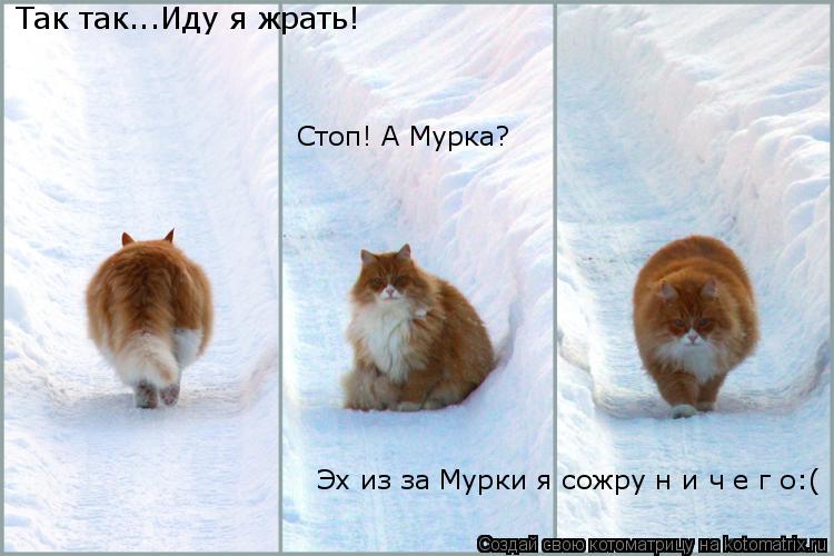 Так так...Иду я жрать! Стоп! А Мурка? Эх из за Мурки я сожру н и ч е г о:(... Котоматрица: Так так...Иду я жрать! Стоп! А Мурка? Эх из за Мурки я сожру н и ч е г о:(