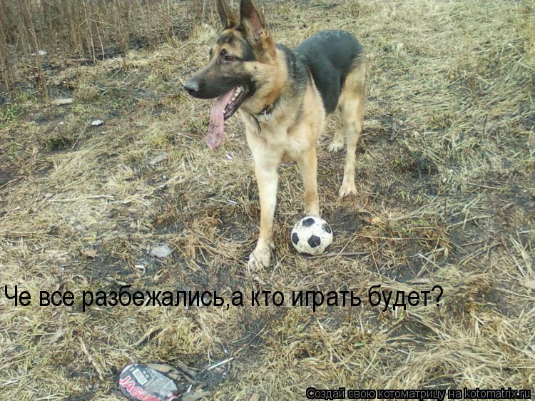 Че все разбежались,а кто играть будет?... Котоматрица: Че все разбежались,а кто играть будет?