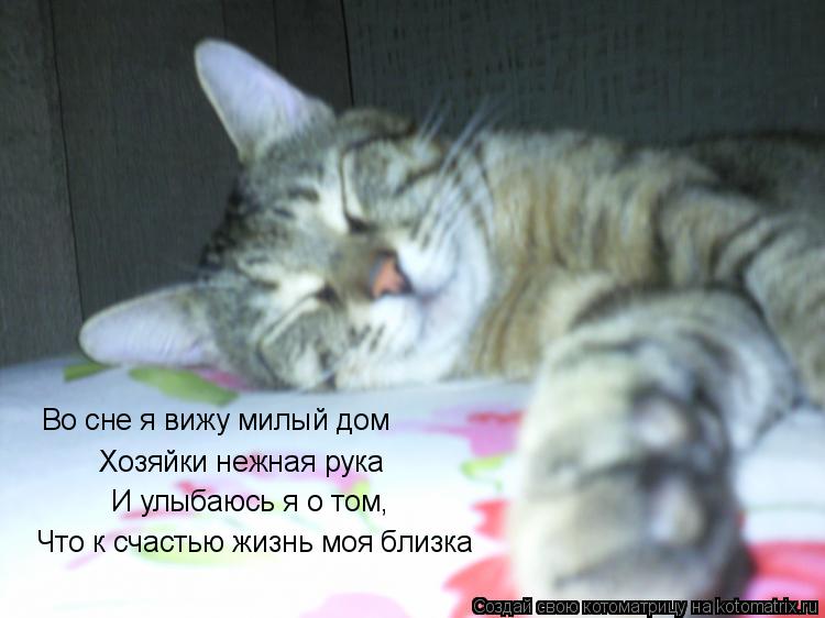 Сон не видны свои руки 217 Сон не видны свои руки 531