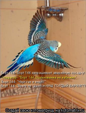 Борт 144- Борт 144 запрашивает аварийную посадку! Оператор- "Борт 144,столкновение не избежно" Борт ... Котоматрица: Борт 144- Борт 144 запрашивает аварийную посадку! Оператор- "Борт 144,столкновение не избежно" Борт 144- "Черт,так и знал!!" Борт 144- "Врагу не сдае
