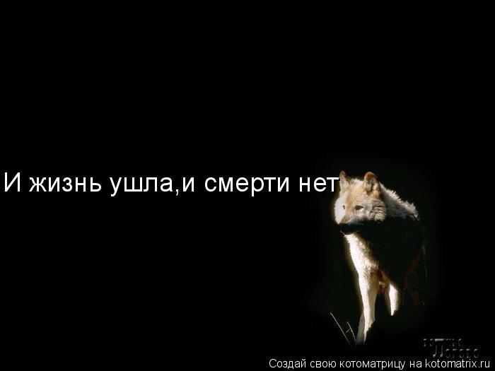 И жизнь ушла И жизнь ушла,и смерти нет И жизнь ушла,и смерти нет... Котоматрица: И жизнь ушла И жизнь ушла,и смерти нет И жизнь ушла,и смерти нет