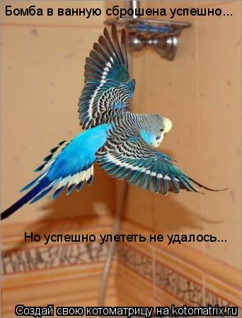 Бомба в ванную сброшена успешно... Но успешно улететь не удалось...... Котоматрица: Бомба в ванную сброшена успешно... Но успешно улететь не удалось...