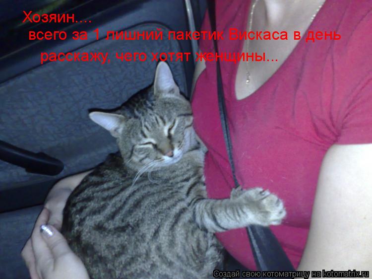 Хозяин.... всего за 1 лишний пакетик Вискаса в день расскажу, чего хотят женщины...... Котоматрица: Хозяин.... всего за 1 лишний пакетик Вискаса в день расскажу, чего хотят женщины...