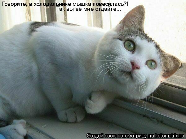 Говорите, в холодильнике мышка повесилась?! Так вы её мне отдайте...... Котоматрица: Говорите, в холодильнике мышка повесилась?! Так вы её мне отдайте...