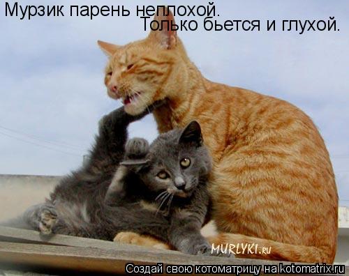 Мурзик парень неплохой. Только бьется и глухой.... Котоматрица: Мурзик парень неплохой. Только бьется и глухой.