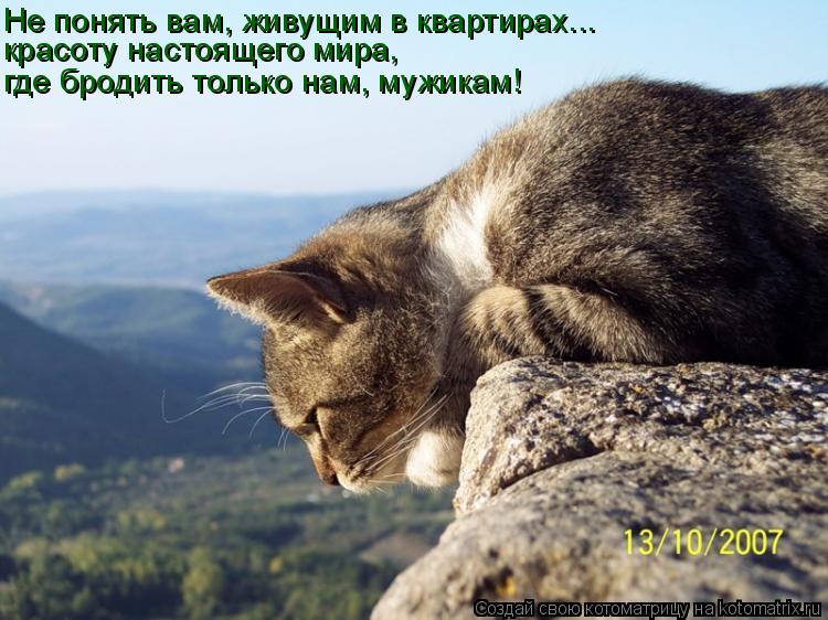Не понять вам, живущим в квартирах... красоту настоящего мира, где бродить только нам, мужикам!... Котоматрица: Не понять вам, живущим в квартирах... красоту настоящего мира, где бродить только нам, мужикам!