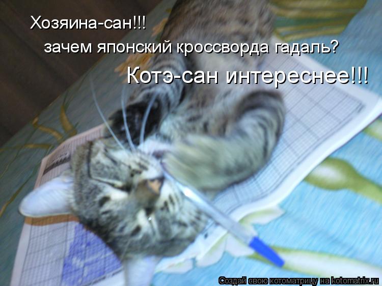 Хозяина-сан!!! зачем японский кроссворда гадаль? Котэ-сан интереснее!!!... Котоматрица: Хозяина-сан!!! зачем японский кроссворда гадаль? Котэ-сан интереснее!!!