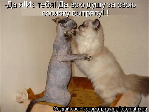 -Да я!Из тебя!!Да всю душу за свою сосиску вытрясу!!!... Котоматрица: -Да я!Из тебя!!Да всю душу за свою сосиску вытрясу!!!