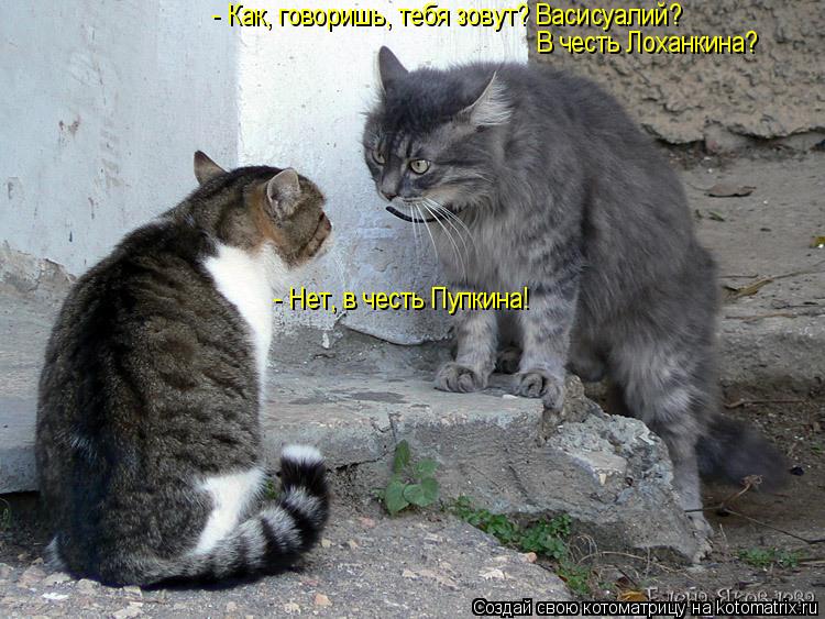 - Как, говоришь, тебя зовут? Васисуалий? В честь Лоханкина? - Нет, в честь Пупкина!... Котоматрица: - Как, говоришь, тебя зовут? Васисуалий? В честь Лоханкина? - Нет, в честь Пупкина!