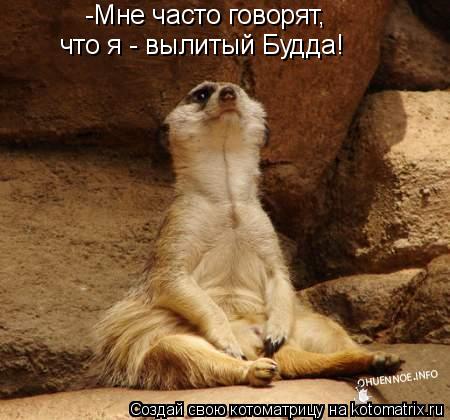 -Мне часто говорят, что я - вылитый Будда!... Котоматрица: -Мне часто говорят, что я - вылитый Будда!