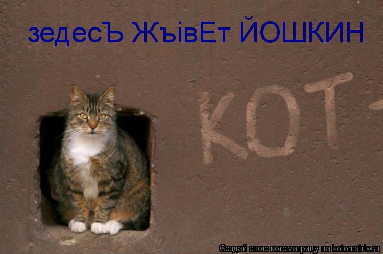 зедесЪ ЖъiвЕт ЙОШКИН... Котоматрица: зедесЪ ЖъiвЕт ЙОШКИН