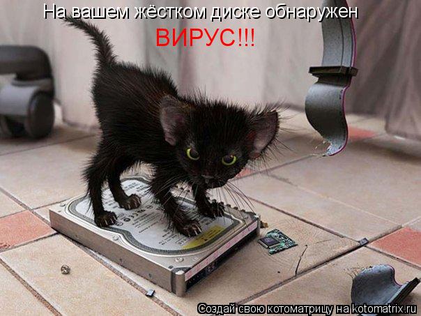 На вашем жёстком диске обнаружен ВИРУС!!!... Котоматрица: На вашем жёстком диске обнаружен ВИРУС!!!