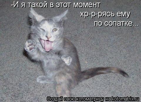-И я такой в этот момент хр-р-рясь ему по сопатке...... Котоматрица: -И я такой в этот момент хр-р-рясь ему по сопатке...