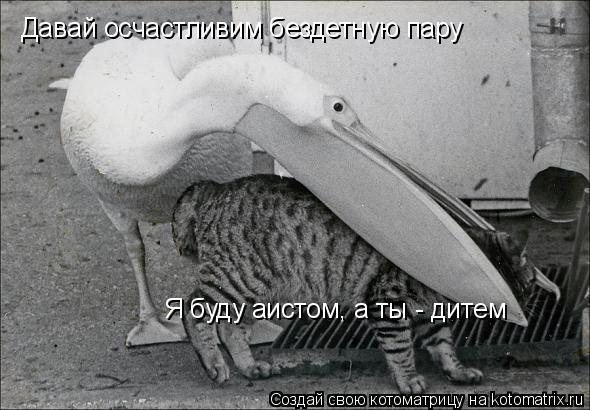 Давай осчастливим бездетную пару Я буду аистом, а ты - дитем... Котоматрица: Давай осчастливим бездетную пару Я буду аистом, а ты - дитем