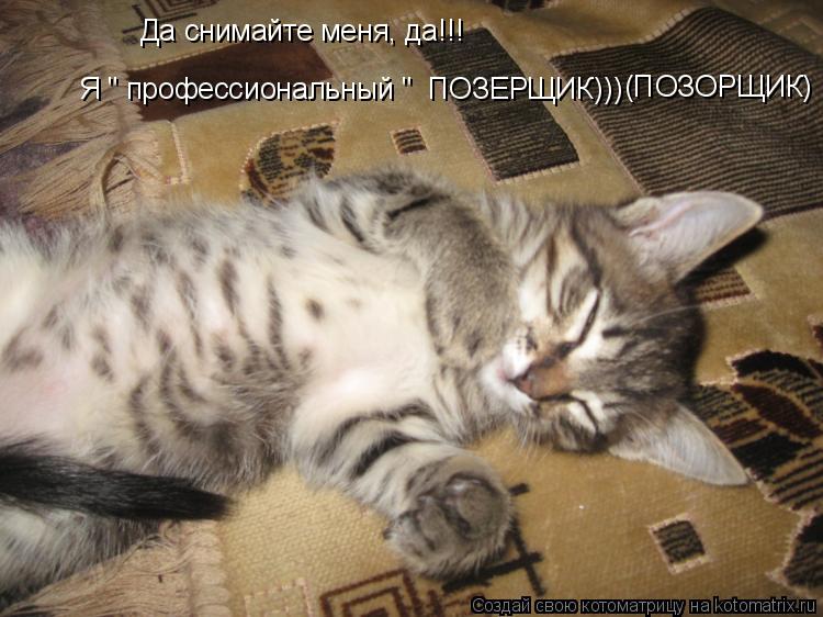 Да снимайте меня, да!!! Я " профессиональный " ПОЗЕРЩИК))) (ПОЗОРЩИК)... Котоматрица: Да снимайте меня, да!!! Я " профессиональный " ПОЗЕРЩИК))) (ПОЗОРЩИК)