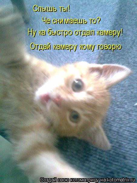Слышь ты! Че снимаешь то? Ну ка быстро отдал камеру! Отдай камеру кому говорю... Котоматрица: Слышь ты! Че снимаешь то? Ну ка быстро отдал камеру! Отдай камеру кому говорю
