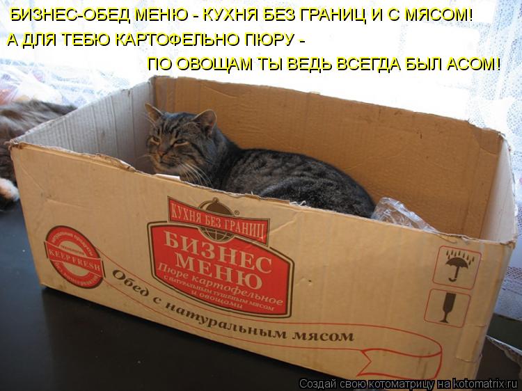 А ДЛЯ ТЕБЮ КАРТОФЕЛЬНО ПЮРУ - ПО ОВОЩАМ ТЫ ВЕДЬ ВСЕГДА БЫЛ АСОМ! БИЗНЕС-ОБЕД МЕНЮ - КУХНЯ БЕЗ ГРАНИЦ ... Котоматрица: А ДЛЯ ТЕБЮ КАРТОФЕЛЬНО ПЮРУ - ПО ОВОЩАМ ТЫ ВЕДЬ ВСЕГДА БЫЛ АСОМ! БИЗНЕС-ОБЕД МЕНЮ - КУХНЯ БЕЗ ГРАНИЦ И С МЯСОМ!