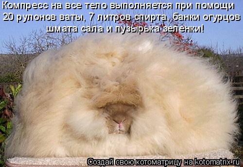 Компресс на все тело выполняется при помощи 20 рулонов ваты, 7 литров спирта, банки огурцов шмата са... Котоматрица: Компресс на все тело выполняется при помощи 20 рулонов ваты, 7 литров спирта, банки огурцов шмата сала и пузырька зеленки!