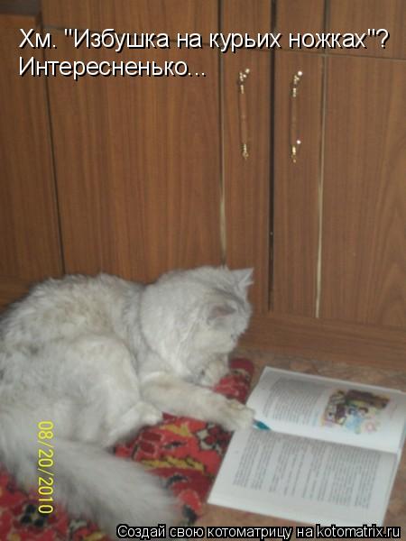 Хм. "Избушка на курьих ножках"? Интересненько...... Котоматрица: Хм. "Избушка на курьих ножках"? Интересненько...