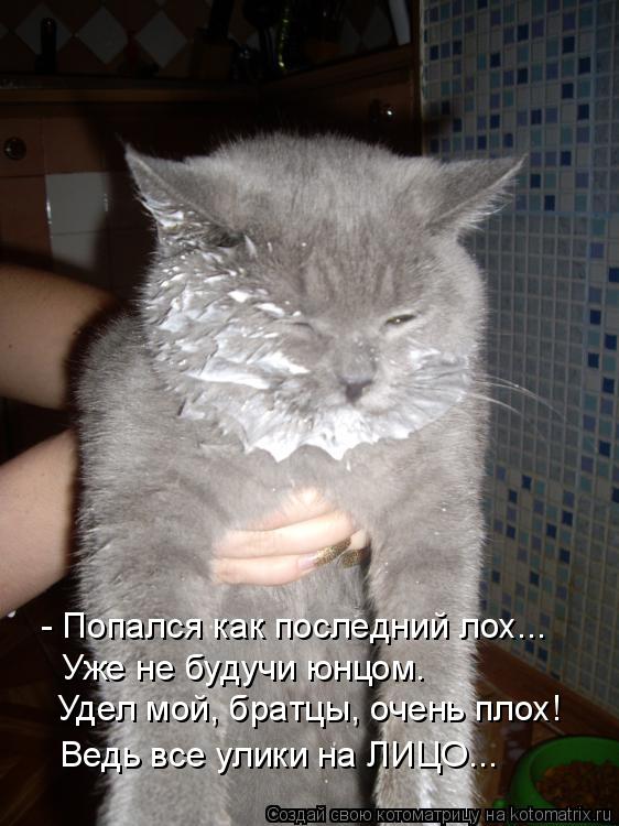 - Попался как последний лох... Уже не будучи юнцом. Удел мой, братцы, очень плох! Ведь все улики на ... Котоматрица: - Попался как последний лох... Уже не будучи юнцом. Удел мой, братцы, очень плох! Ведь все улики на ЛИЦО...