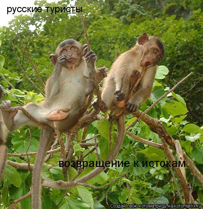 русские туристы возвращение к истокам... Котоматрица: русские туристы возвращение к истокам