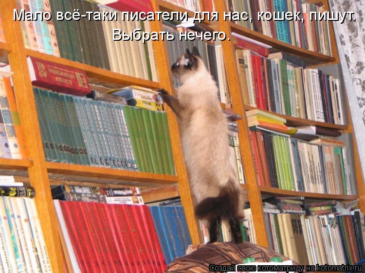 Котоматрица: Мало всё-таки писатели для нас, кошек, пишут. Выбрать нечего.