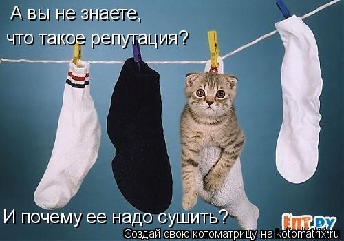 А вы не знаете, что такое репутация? И почему ее надо сушить?... Котоматрица: А вы не знаете, что такое репутация? И почему ее надо сушить?
